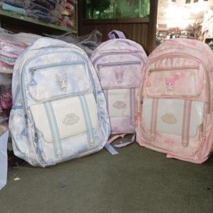 NEW VARIETY OF BAGPACK