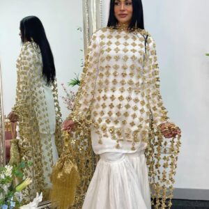 laser cutwork  sheesha pani zari dupatta